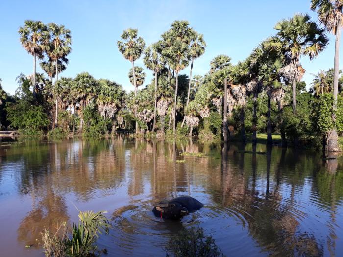 kakrona pouk homestay