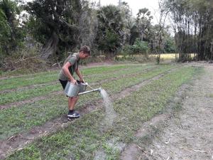 kakrona pouk homestay