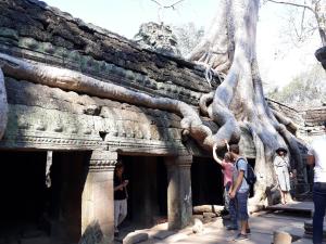 kakrona pouk homestay