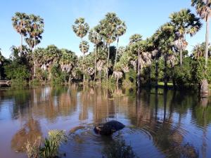 kakrona pouk homestay