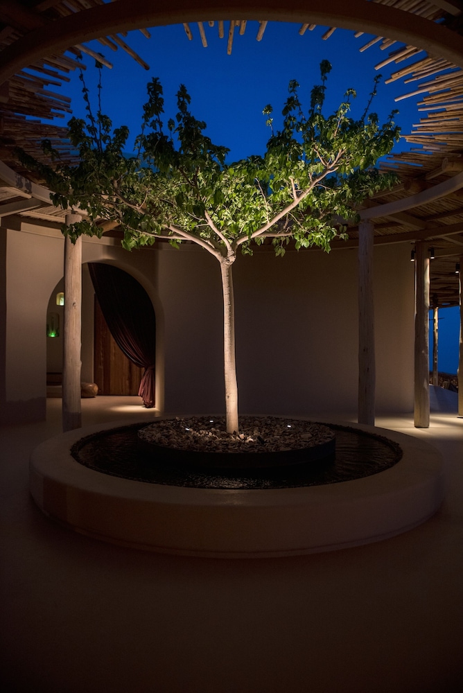 six senses shaharut
