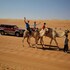 desert wonders camp