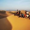 desert wonders camp