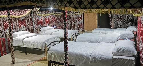 desert wonders camp