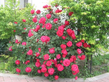 city hotel bucharest