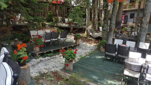 ioana hotels