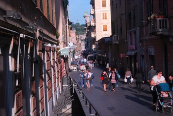 casa mama