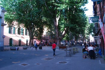 casa mama