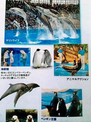 shirahama
