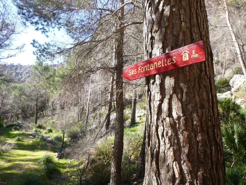 finca ses fontanelles