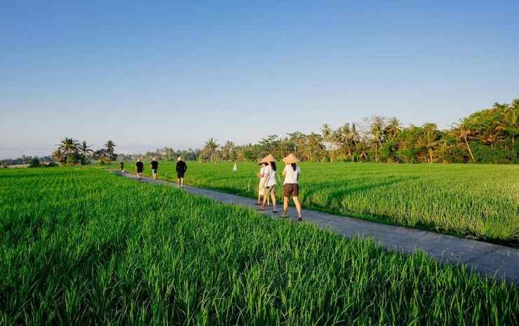bakungan dijero homestay