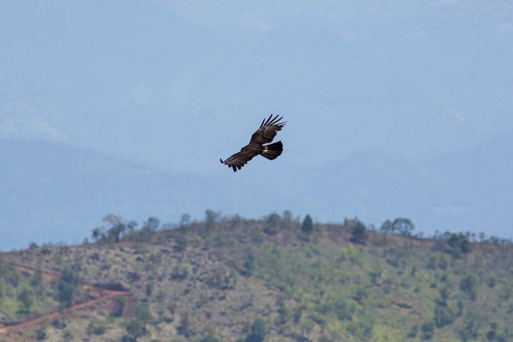 w15 hanthana estate kandy