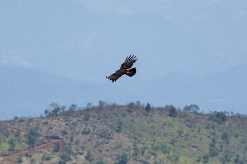 w15 hanthana estate kandy