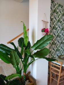 aloha marzamemi rooms