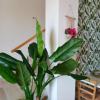 aloha marzamemi rooms
