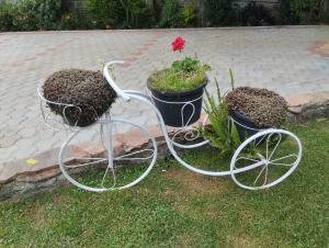 comfort guest house kericho