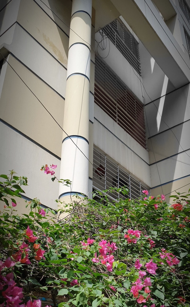 daon guest house dhaka