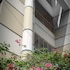 daon guest house dhaka
