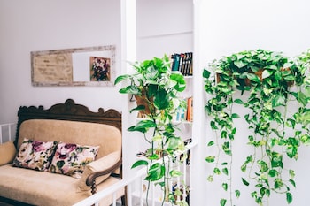 alca zar de eva mara a