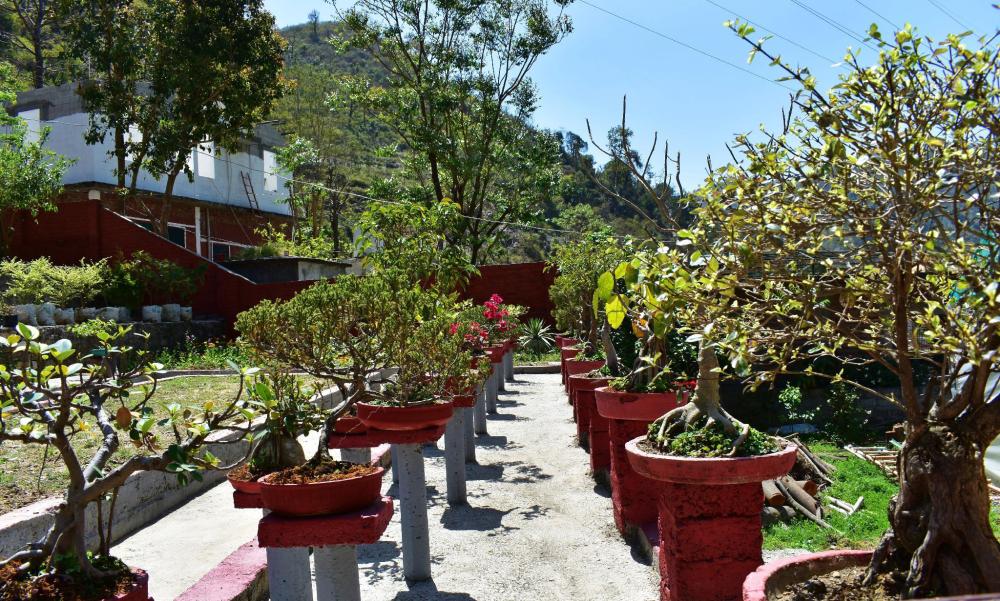 hanumanti river view resort