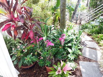 the grand guesthouse