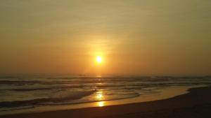 suri apartment and hotel danang