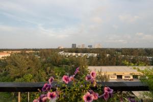 suri apartment and hotel danang