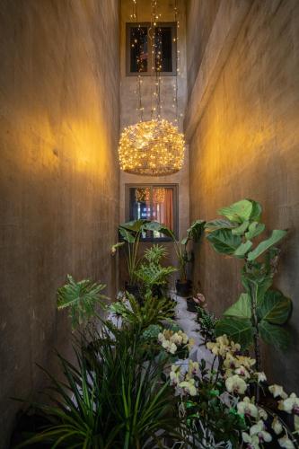 la maison des delices