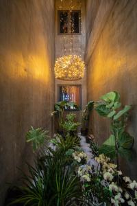 la maison des delices