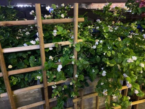 la maison des delices