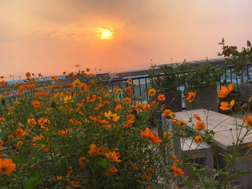 la maison des delices