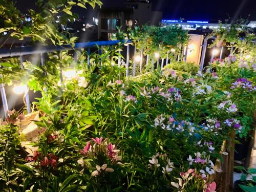 la maison des delices