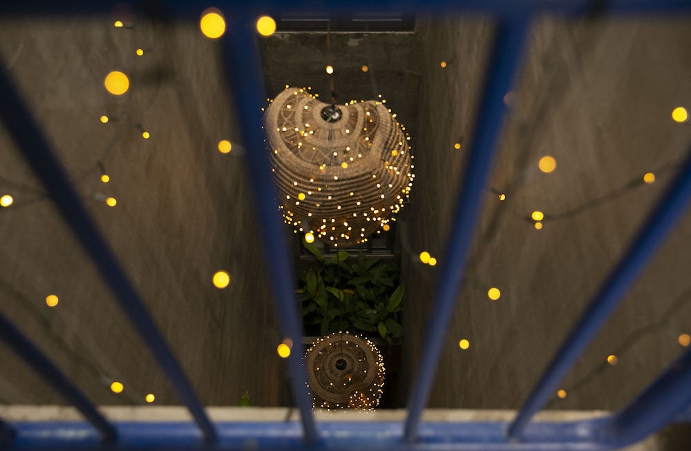 la maison des delices