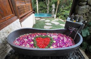 andara ubud villa