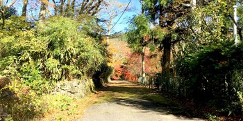 onsenryokan teishaba