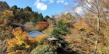 onsenryokan teishaba