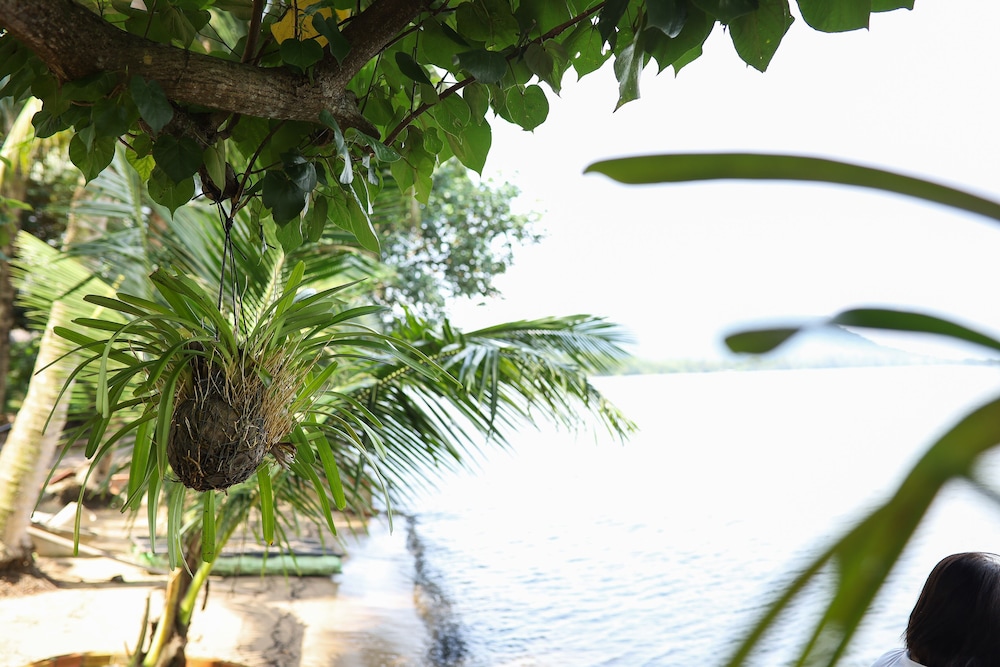 local beach phu quoc