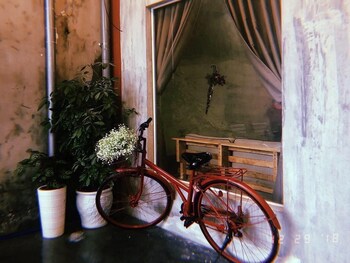 quy nhon