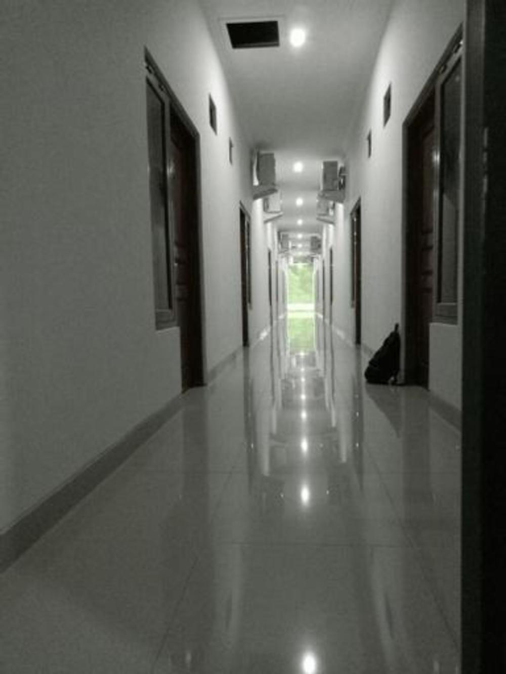 green belt kost exclusive