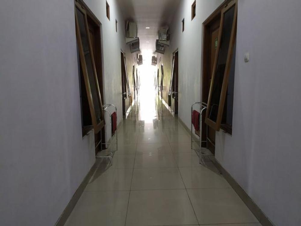 green belt kost exclusive