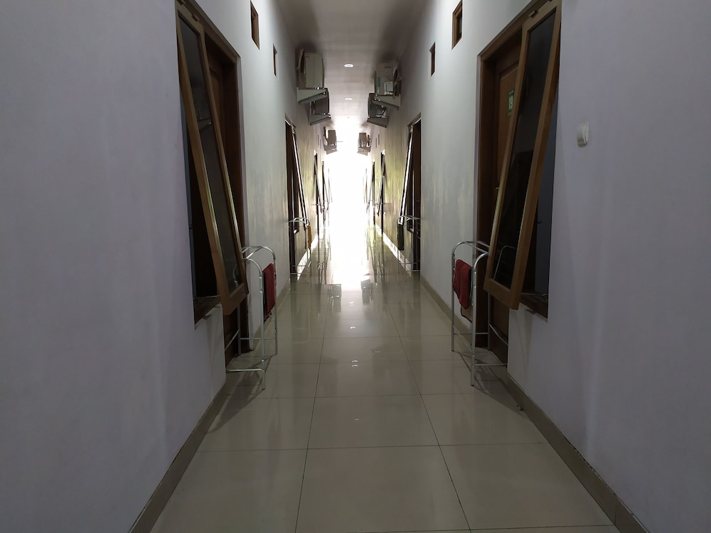 green belt kost exclusive