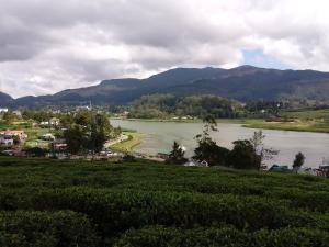 eco creations nuwaraeliya