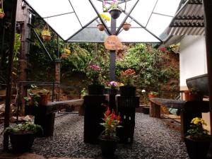 eco creations nuwaraeliya