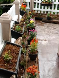 eco creations nuwaraeliya