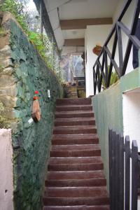 eco creations nuwaraeliya
