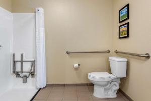 comfort suites
