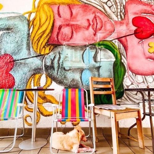 zili pernambuco hostel and coworking