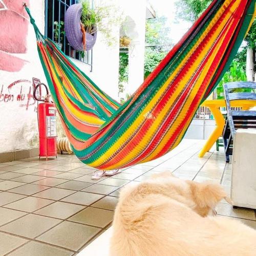 zili pernambuco hostel and coworking