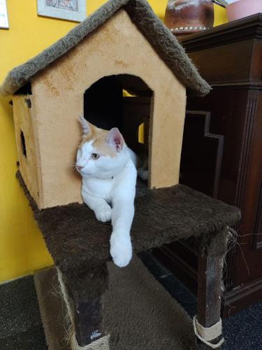 zili pernambuco hostel and coworking