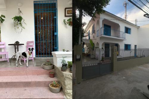 zili pernambuco hostel and coworking